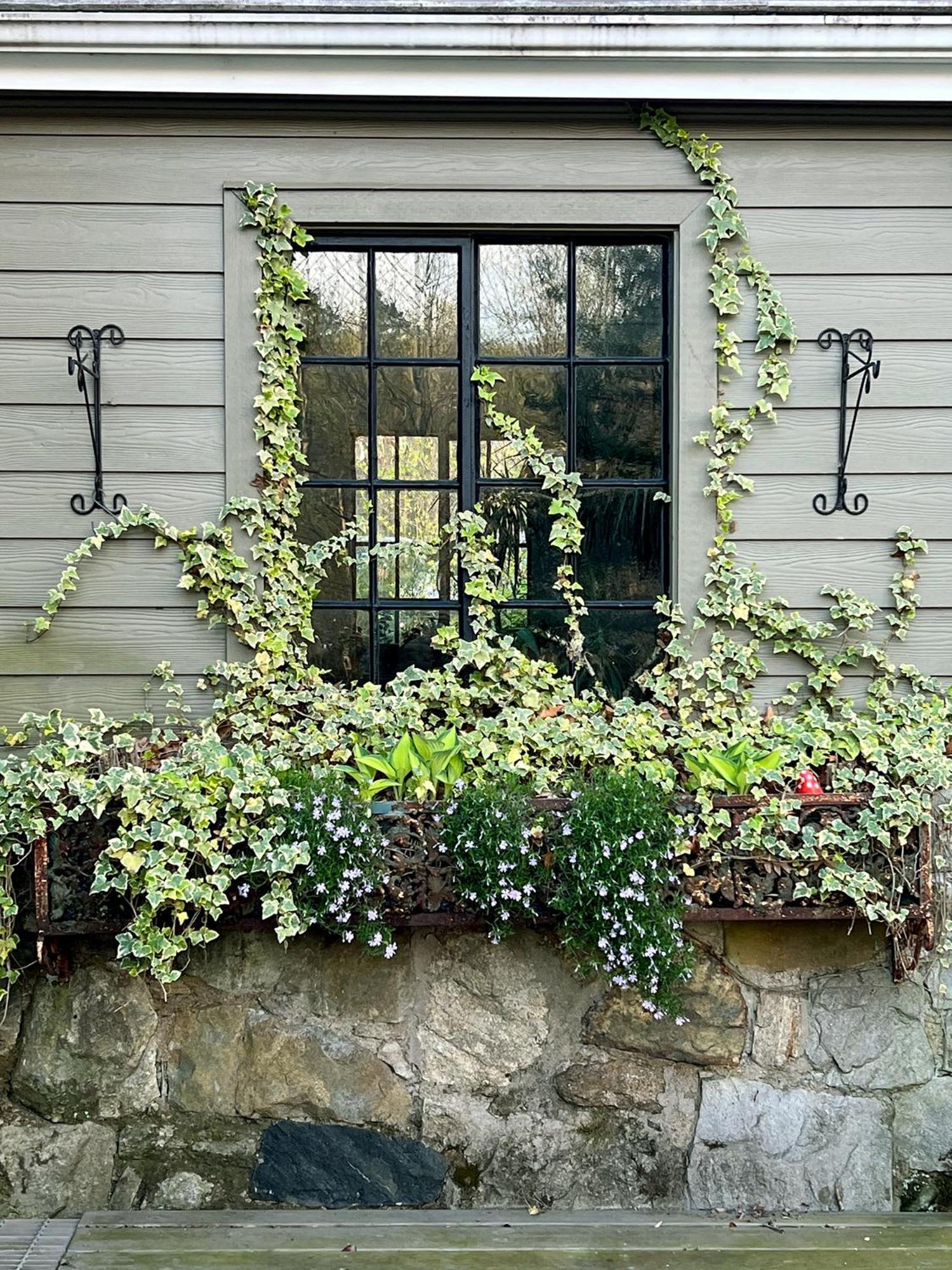 Studio Guest Suite In Forest Cottage Tryon Exteriör bild